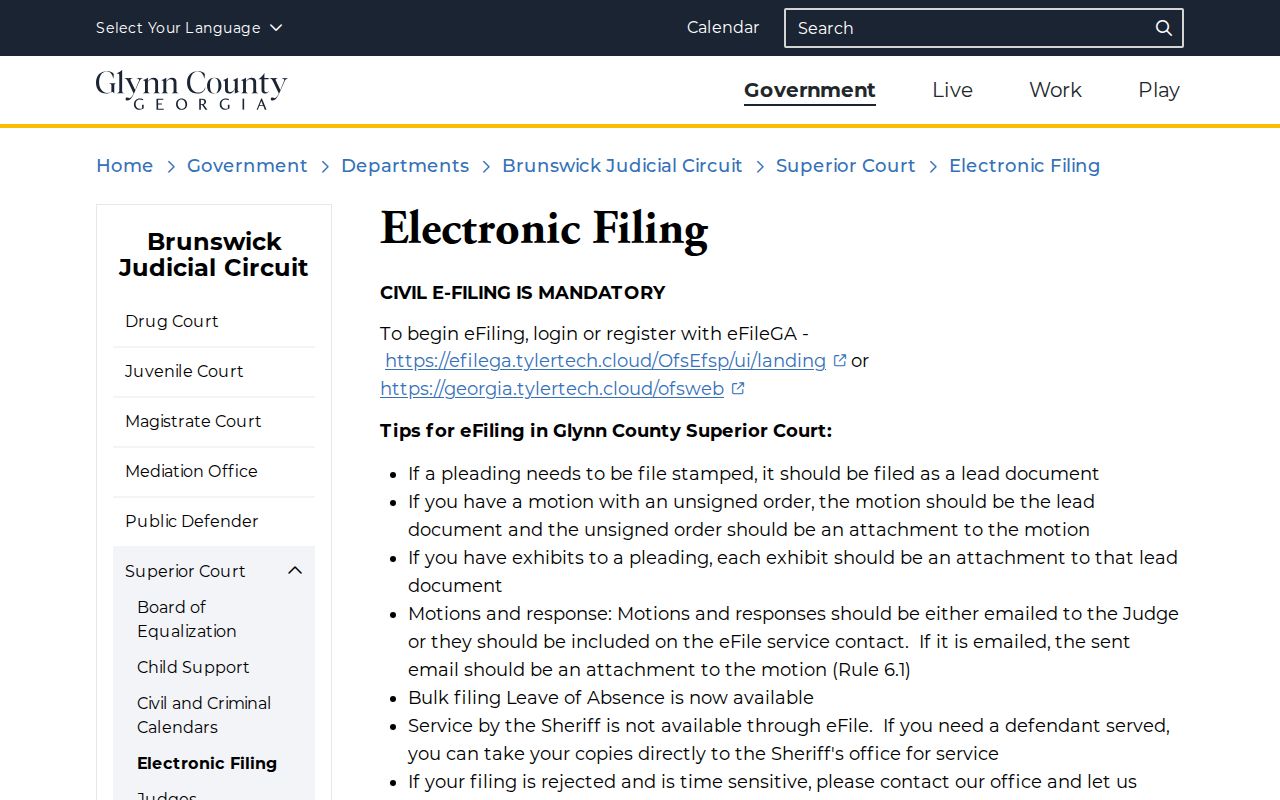 Glynn County criminal court electronic filing and case access page